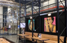 STUDIO 5019 Exhibition at Pirate Life Brewing